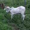 Joan Corrales - @joancorrales0 - TikTok