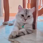 Joan Ralna Vallejo Corrales - @jrlna.crls - Instagram
