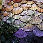 @_joan_corrigan_ - Instagram