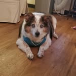 Joan Couch - @joancouch55 - Instagram