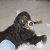 joancoyle32 - @joan.coyle - TikTok