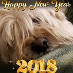 JoAnn Cehowski Creighton - @cehowskicreighton - Instagram