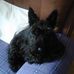 Joan Culver - Facebook