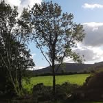 Joan Curtin - @joan.curtin.547 - Instagram