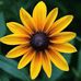 Joan Tanner - Facebook