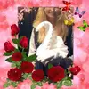 Joandark Kassab - @joandarkkassab - TikTok