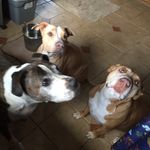 Joan Darnell - @joandarnell78 - Instagram