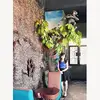 joankfdart32 - @joankfdart32 - TikTok