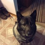 Joan Daugherty - @joan.daugherty.581 - Instagram