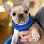 Joan Merry Devine - @spumoni41 - Instagram