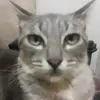 joanilde - @joanildevito416 - TikTok