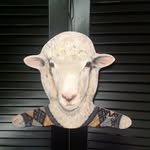 Joan Dewey - @merrywool_joan - Instagram
