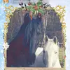 joannedeyoe - @joannedeyoe - TikTok