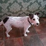 JOAN Dickerson - @dickerson8197 - Instagram