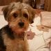 Joan Dickson - Facebook