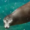 joandiehl270 - @joandiehl270 - TikTok