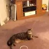 joandodds6 - @joandodds6 - TikTok