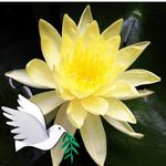 Joan Donner - @joandonner - Instagram