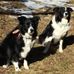 Joan Donner - Facebook