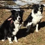 Joan Donner - @joan.donner - Instagram