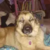 Joanne Donner - @joannedonner313 - TikTok
