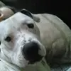 joann dotson - @joann.dotson - TikTok