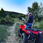 Joan Dow Gt - @joan_dow_gt - Instagram