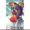 Joan Dowd - @joandowd1 - TikTok