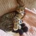 Joan Downs - Facebook