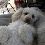 Joan Downs - @joan.downs.543792 - Instagram