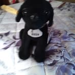 Joan Dube - Facebook