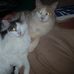 Joan Dukes - Facebook