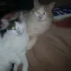 Joan Dukes - @joan.dukes8 - TikTok