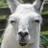 joanne early - @joanneearly67 - TikTok