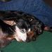 JoAnn Ebert - Facebook