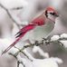 Joan Eck - Facebook
