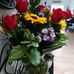 Joan Eck - Facebook