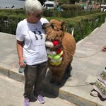 Joan Eckert - @joaneckert500 - Instagram