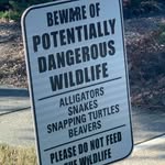 Joan L. Elder - @joanelder1214 - Instagram