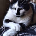 Joan Eller - @ellerjoan - Instagram