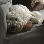 Jojo - @joan.ellsworth.7 - Instagram