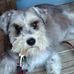 Joan Eurey - Facebook