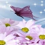 Joan Everhart - @gmajoany523 - Instagram
