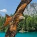 Joan Fairweather - Facebook