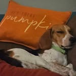 Joan Fallon OBrien - @joanfallon.obrien.1232 - Instagram