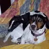 joan_feehan - @joan_feehan - TikTok
