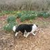 Joan Fenwick - Facebook