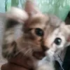 Joan Ferrer - @joan.ferrer449 - TikTok