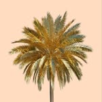 Joan Ferrer Studio - @joanferrerstudio - Instagram