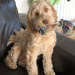 Joan Fielder - @jbrown2803 - Instagram
